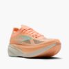 Coral/Yucca/Coconut