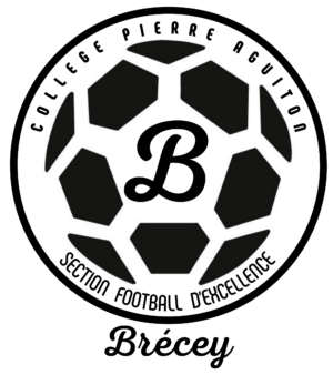 Sport Etude Collège Brecey